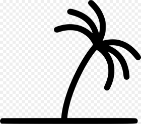 Palm Tree Palm Tree Line Icon Hd Png