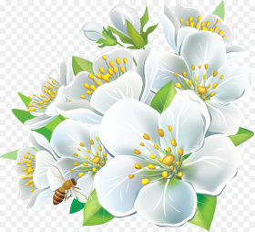 White Flowers Png Hd  Png