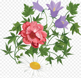 Flower Floral Design Clip Art Transprent  Background