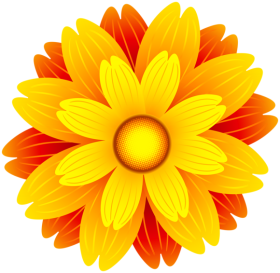 flower vector yellow png