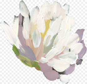 Hand Painted White Watercolor Flower Png  White