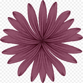 Purple Flower Photo Purpleflower  Background Simple Flower