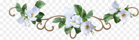 Animal Jam Clans Wiki White Floral Border Transparent