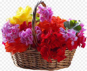 Flower Basket  Hd Png