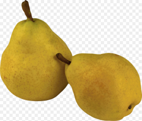Ripe Pear Png Image Png of Pear Transparent