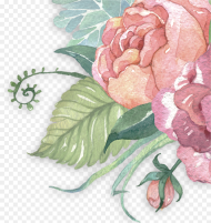 Pastel Flowers Transprent Png Free  Watercolor