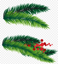 Clip Art Branches for Decoration Christmas Tree Branch
