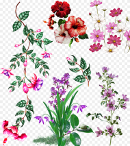 Textile Digital Design Flowers Motifs Vector Flower Vector