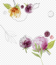 Flower Sketch Png Spring Flowers Background Vector