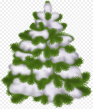 Snowy Christmas Tree Transparent Background Hd Png Download