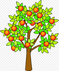 Transparent Spring Clipart Png Tree With Fruits Gif