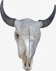 Horn Hd Png Download 