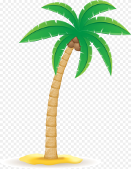 Transparent Palm Tree Leaf Clipart Clip Art Coconut
