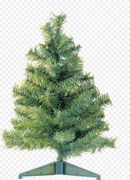 Christmas Tree Png Transparent Png 