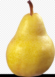 Asian Pear Fruit Transparent Background Pear Transparent Hd