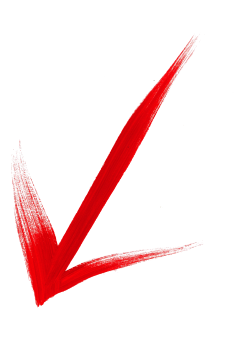 red down arrow png image