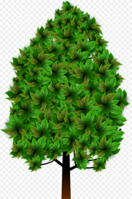 Tree Png Hd  Download