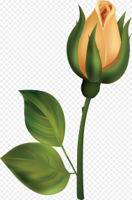 Yellow Rose Bud Png Clipart Flower Bud Clip