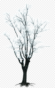 Black and White Tree Branch Clipart Banner Tree