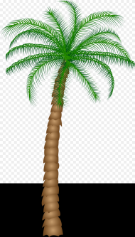 Date Palm Fruit Tree Clipart Palm Tree Transparent
