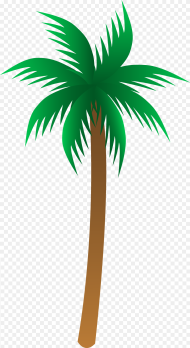 Palm Tree Clip Art Transparent Background Palm Tree