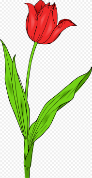 Tulip Clip Art Clipart Tulip Clip Art Hd
