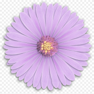 Res Light Purple Flowers Png by Hanabell Dlmwr