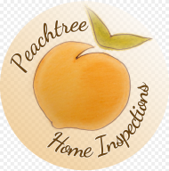 Transparent Peach Tree Png Trail Png Download