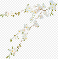 Flower Vine Desktop Wallpaper Clip Art Flower Vine