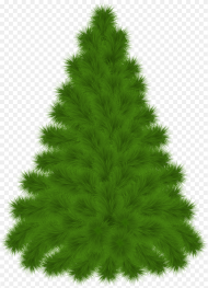 Pine Tree Clipart Png Transparent Png Download