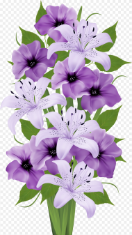 Full Hd Png Flower  Png