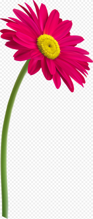 Field of Flowers Png Flower With Pot
