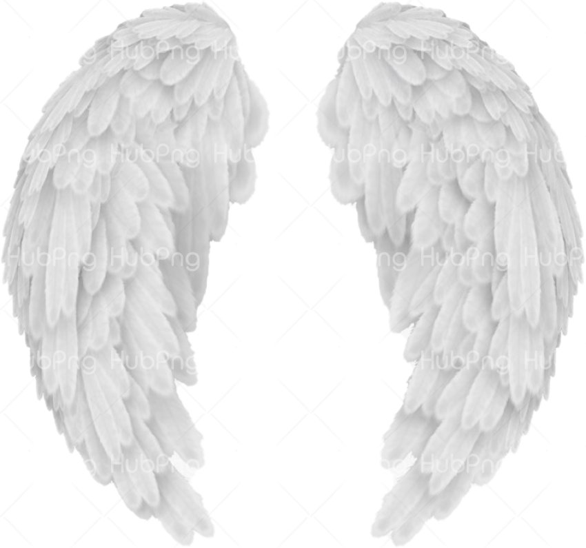 Download angel wings png HD, alas de angel, ангельские крылья, ailes d'ange, ali d'angelo Transparent Background Image for Free