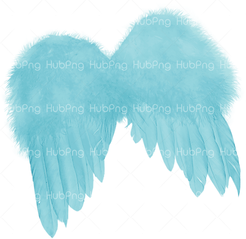 angel wings png vector, alas de angel, ангельские крылья Transparent Background Image for Free