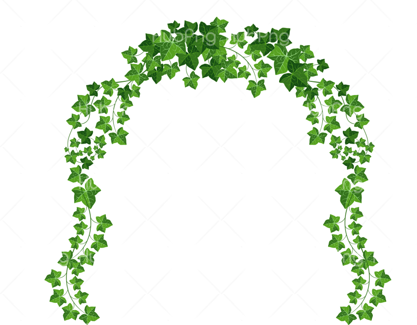 bingkai bunga green leaf png Transparent Background Image for Free