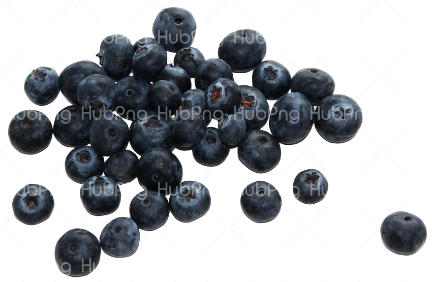 Download black berries png Transparent Background Image for Free