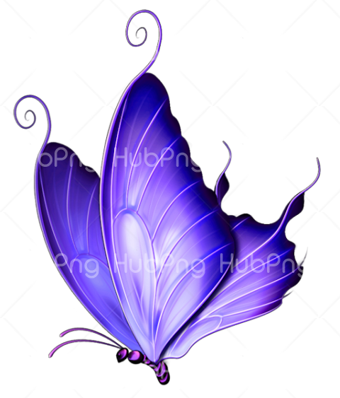blue borboletas png hd Transparent Background Image for Free