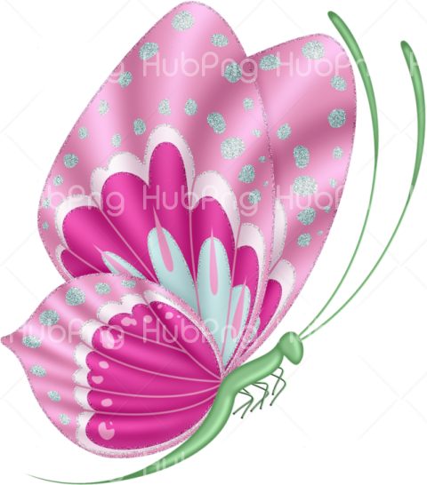 borboleta desenho pink Transparent Background Image for Free