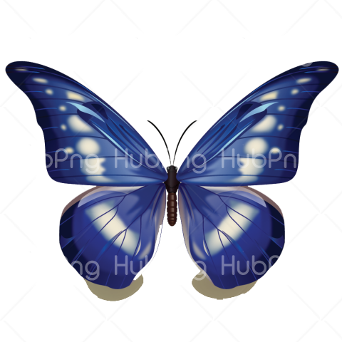 borboletas png blue color Transparent Background Image for Free