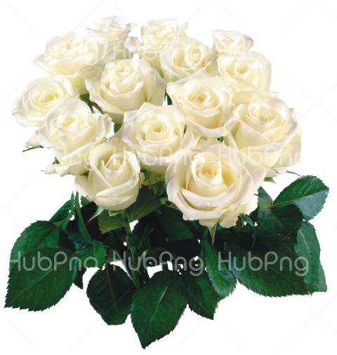 Bouquet flowers PNG image with transparent background Transparent Background Image for Free