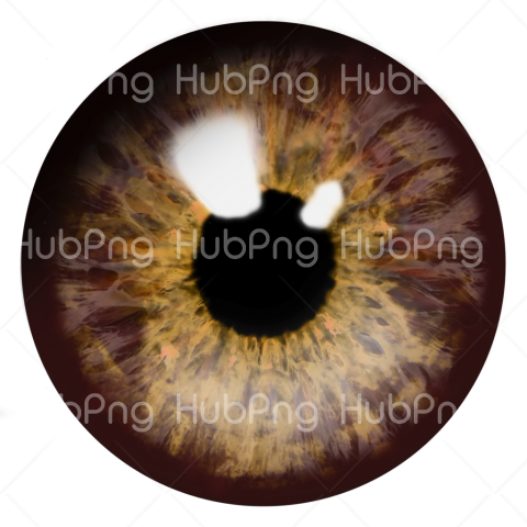 brown eye png Transparent Background Image for Free