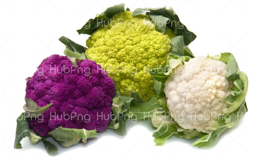Cauliflower PNG HD Photo Transparent Background Image for Free