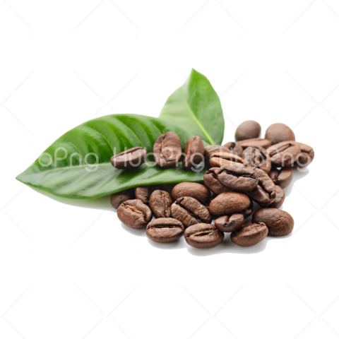 Coffee Beans clipart PNG Transparent Background Image for Free