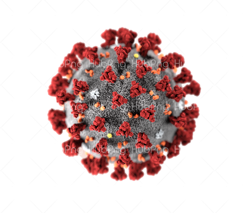 coronavirus png image hd covid-19 Transparent Background Image for Free