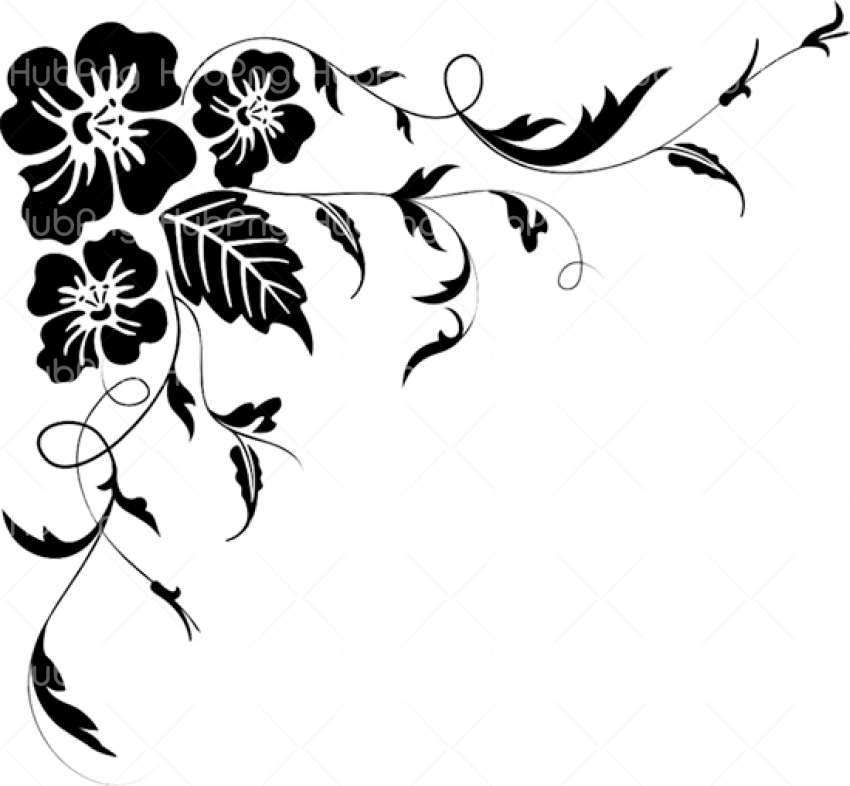 flores png vector black Transparent Background Image for Free