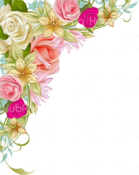 flower border png clipart Transparent Background Image for Free
