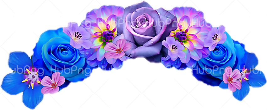 flower crown png Transparent Background Image for Free