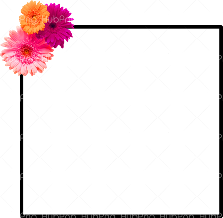 frame border png flowers Transparent Background Image for Free