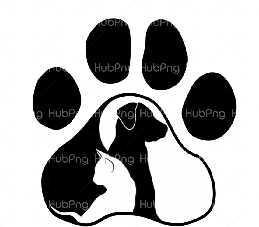 gato png black and white Transparent Background Image for Free