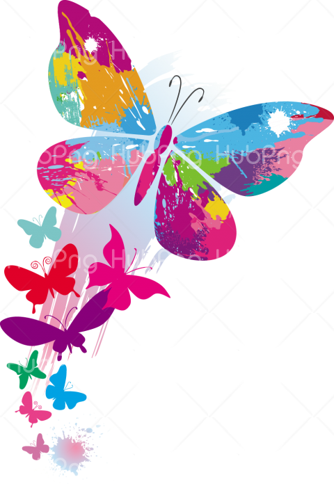 group borboletas png hd Transparent Background Image for Free